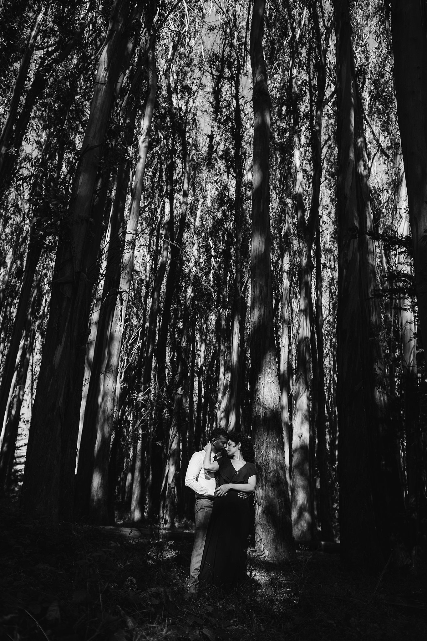 Black and white image of couple standing below tall Cypress trees during their San Francisco Lover's Lane engagement session