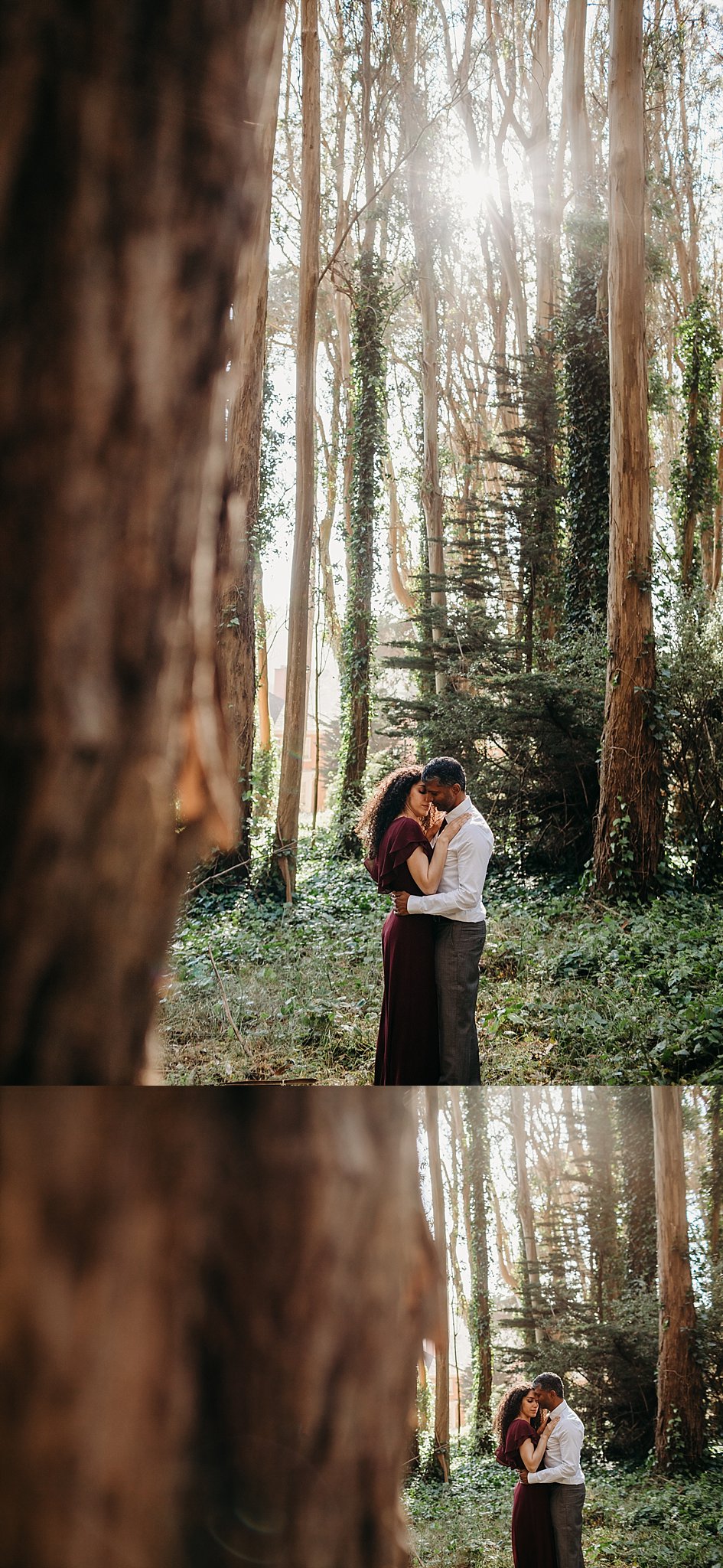 Two images of couple standing in an embrace amongst the tall trees at Lover's Lane in San Francisco, CA