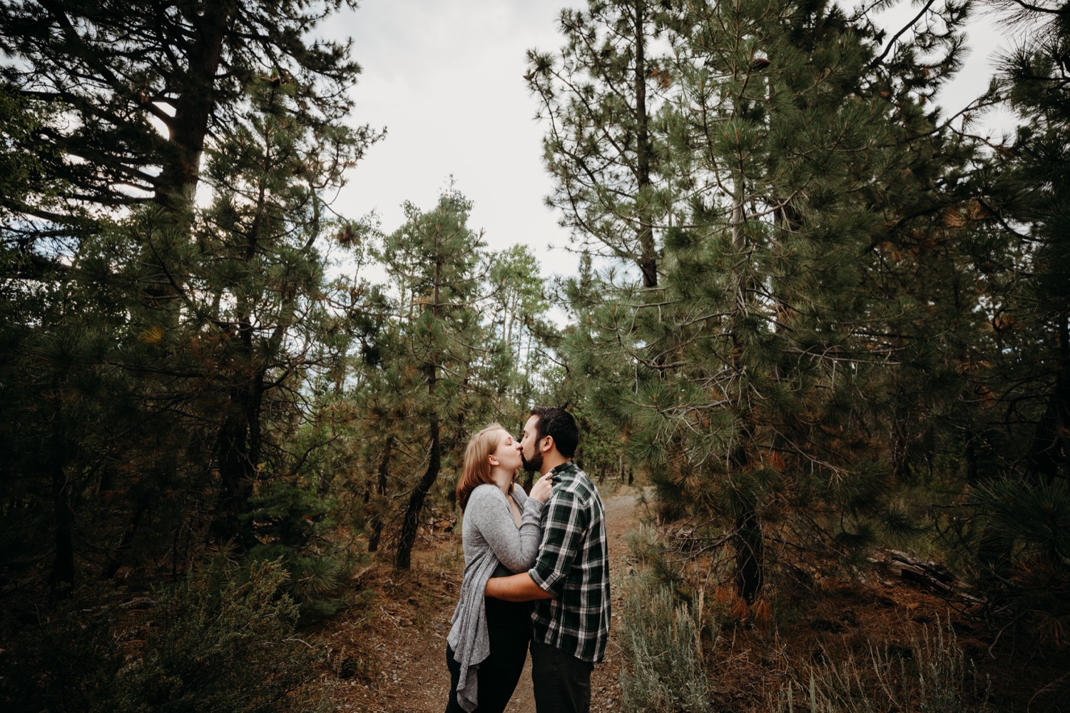 Woodsy engagement photoshoot. Skyline trail in South Lake Tahoe.