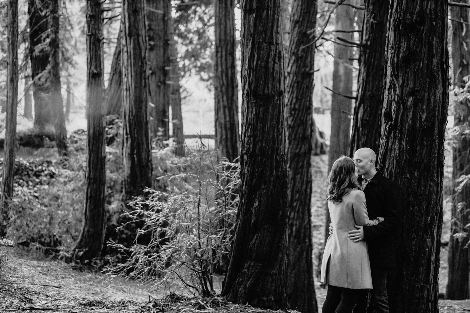 Couple leans against a redwood tree kissing on their San Francisco engagement photoshoot.