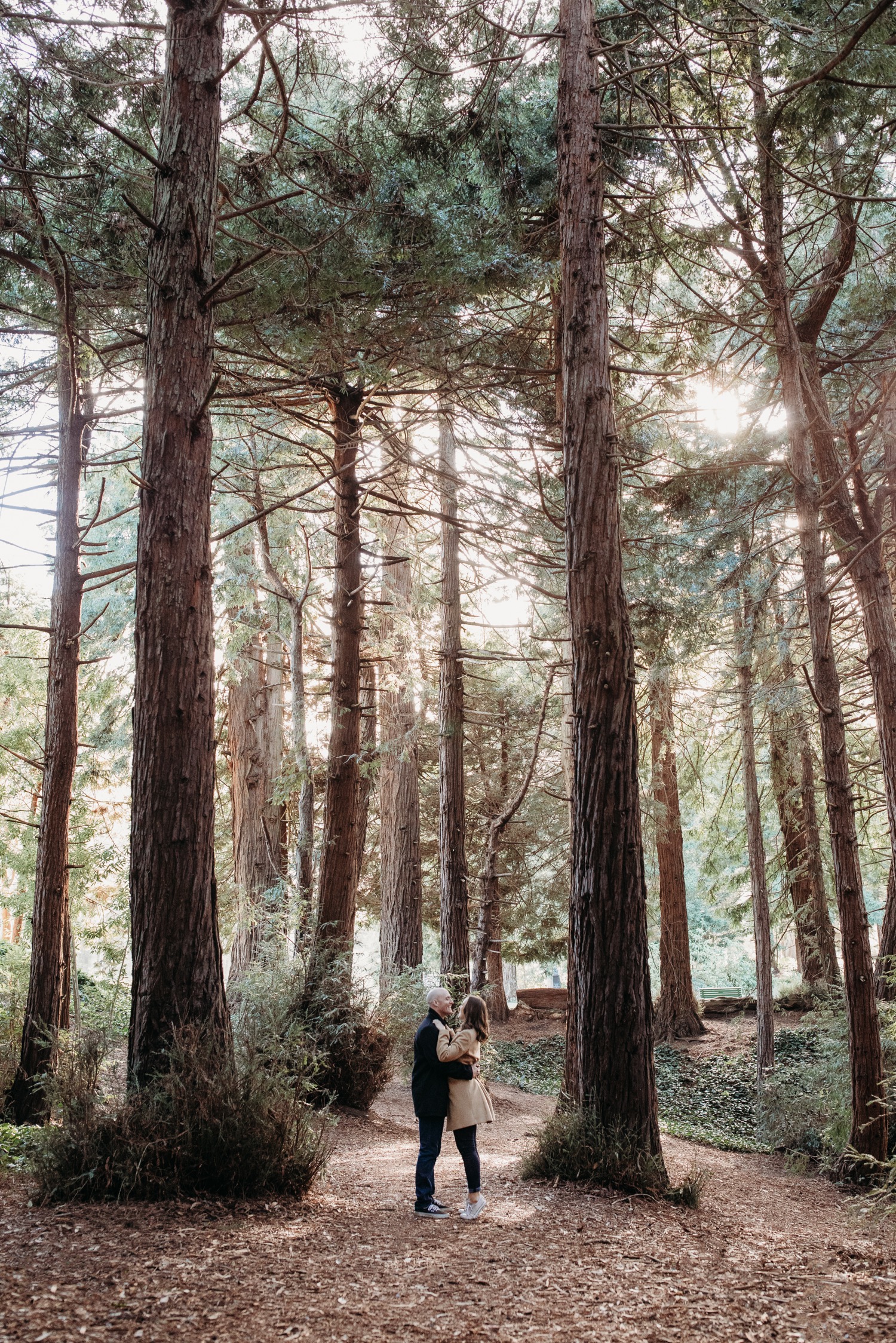 Couple hugs while standing in towering redwoods during their Golden Gate Park engagement photoshoot.