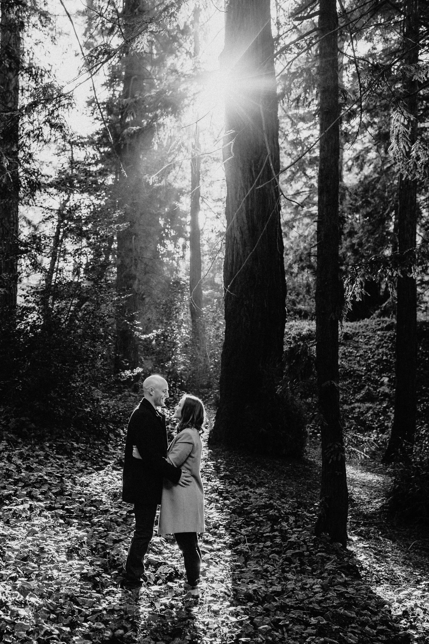 Couple hugs as the sun shines through the redwoods on their Golden Gate Park engagement photoshoot.