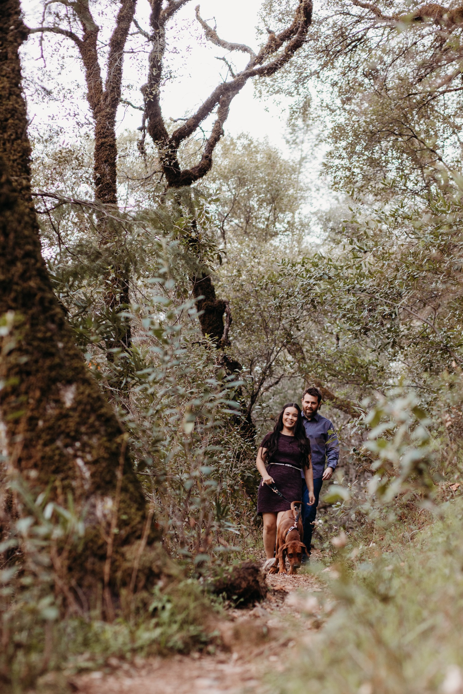 Couple walks with their dog through the forest on their engagement photoshoot.