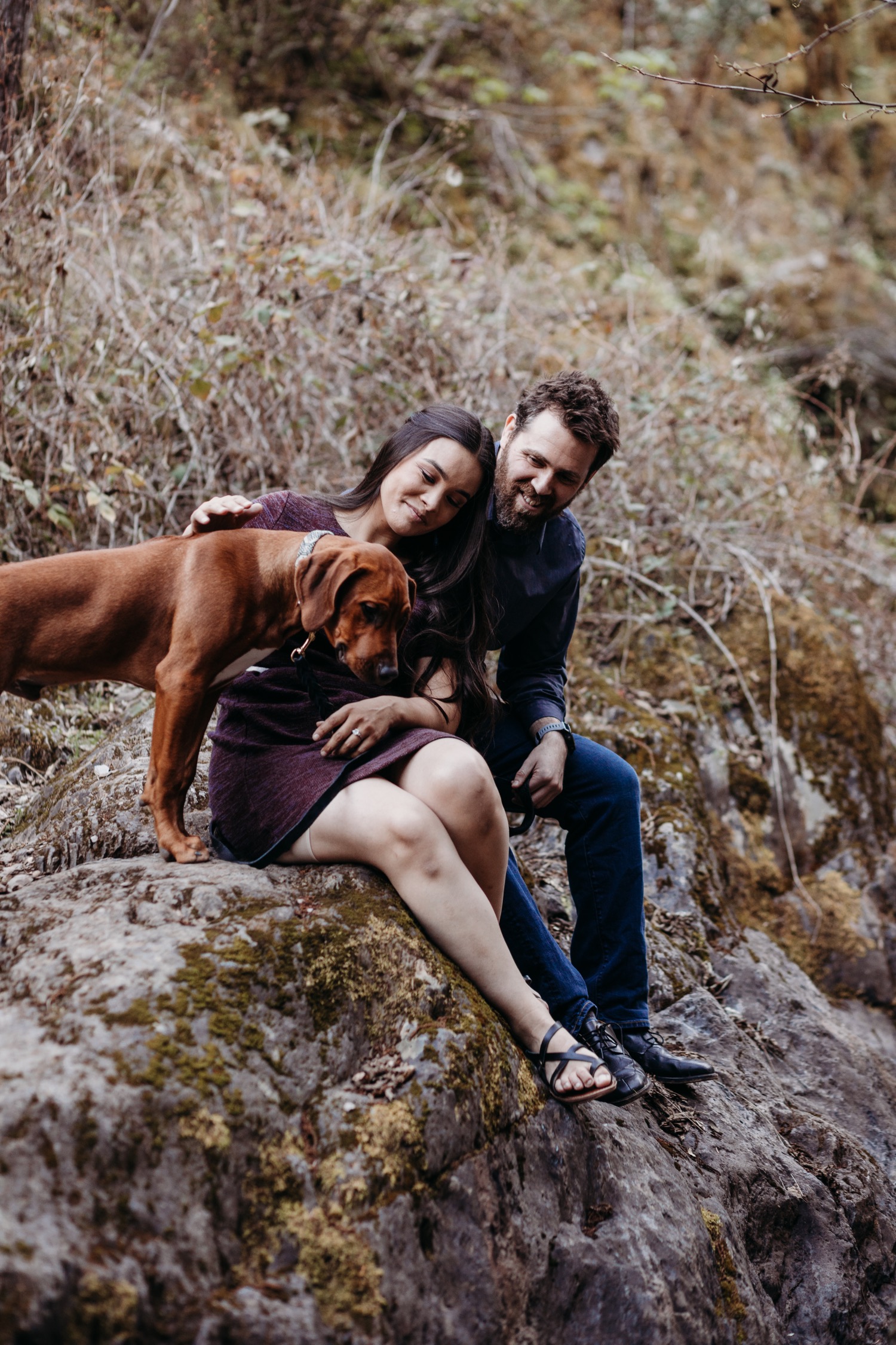 Couple sits on a rocky cliff while petting their dog on their American River engagement photoshoot.