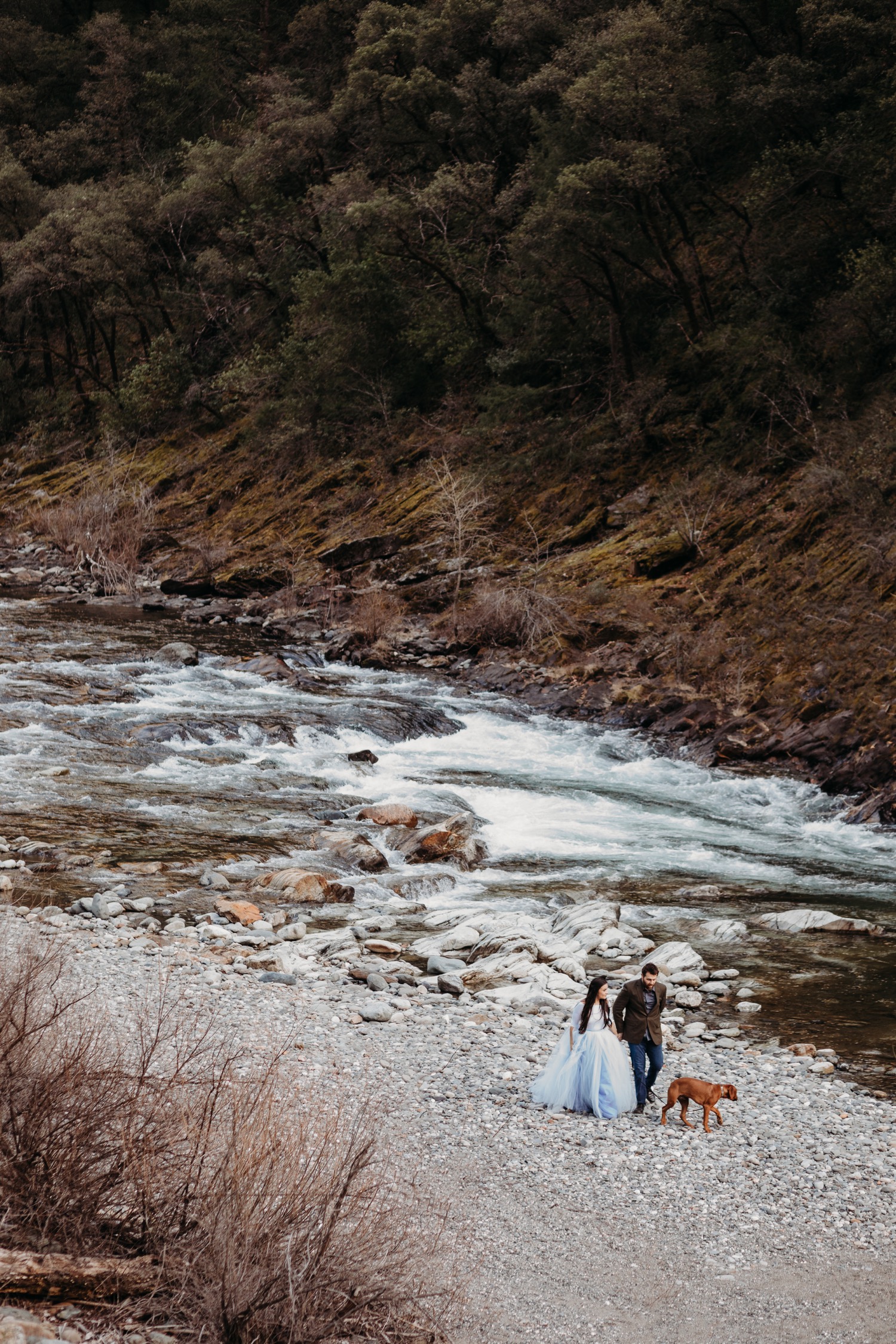 Couple walks holding hands with their dog along the rushing American River during their Sacramento engagement photoshoot.
