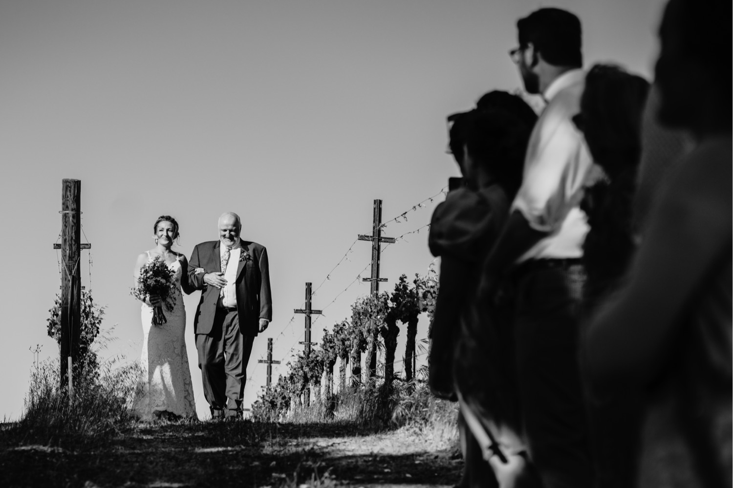 Father of the bride walks the bride down the aisle lined by vineyards. Liz Koston Photography.