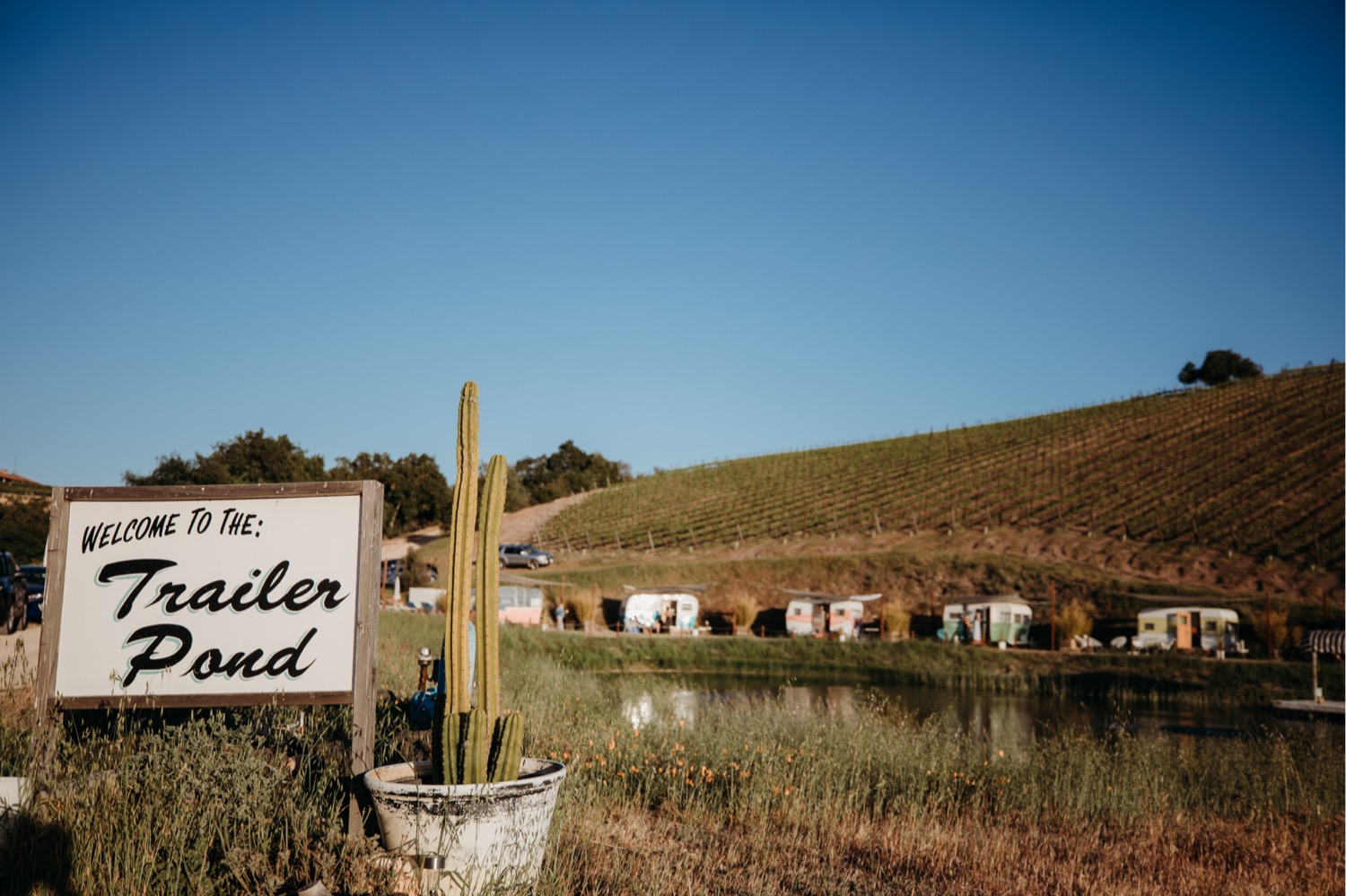Sign for the Trailer Pond at Alta Colina winery with a hill of vineyards. Liz Koston Photography.