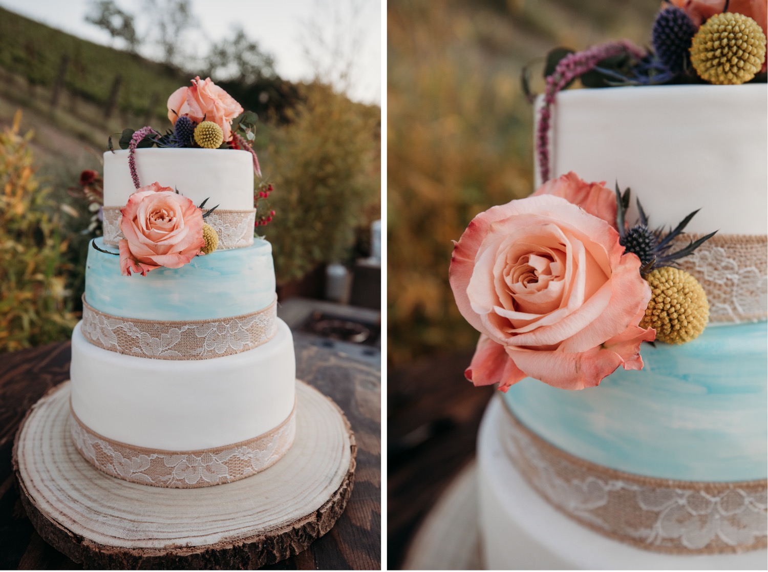 Wedding cake photo with blue and white frosting and pink flowers. Liz Koston Photography.