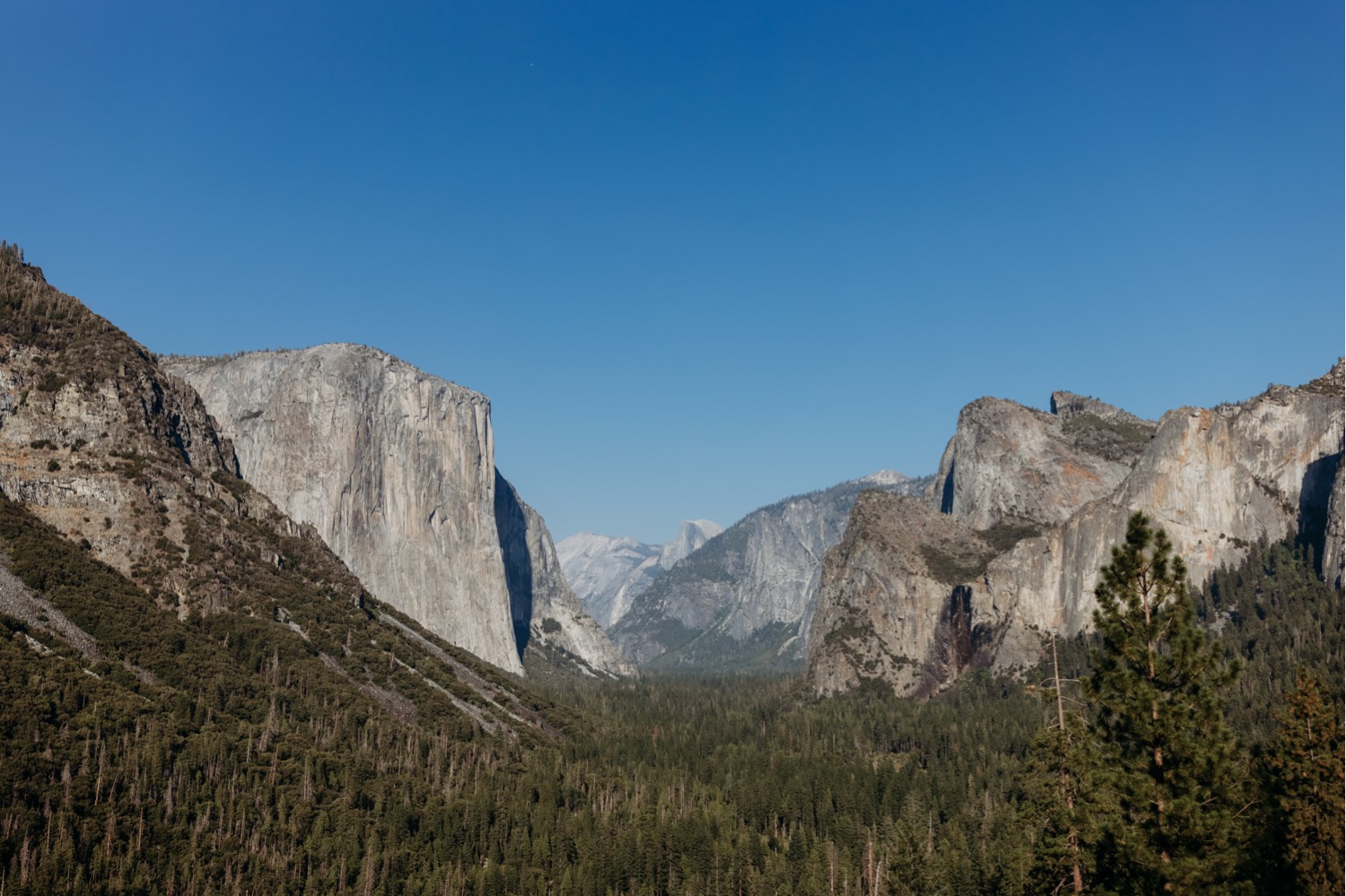 View of Yosemite Valley taken by Yosemite photographer Liz Koston