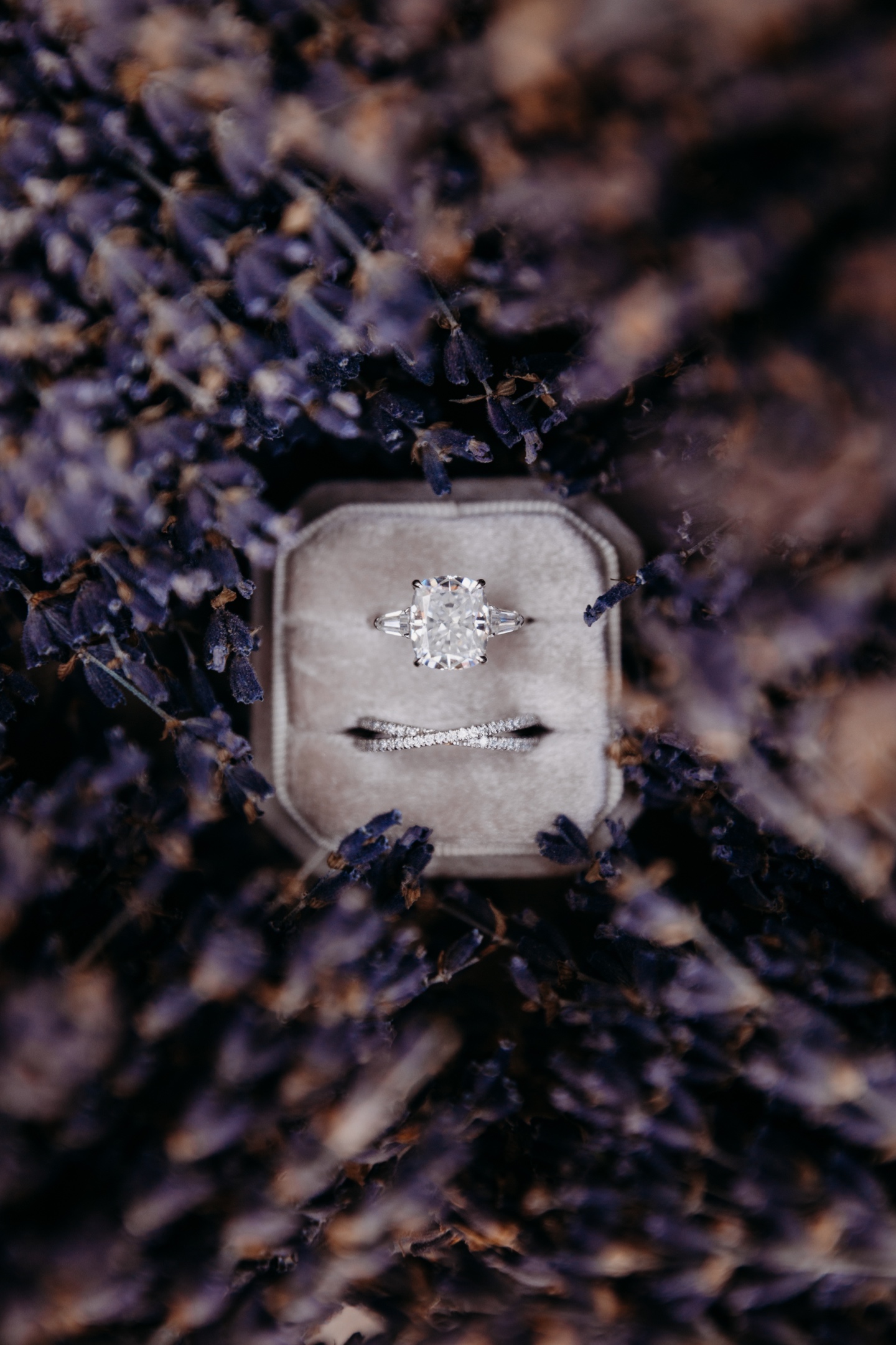 Wedding rings surrounded by lavender flowers