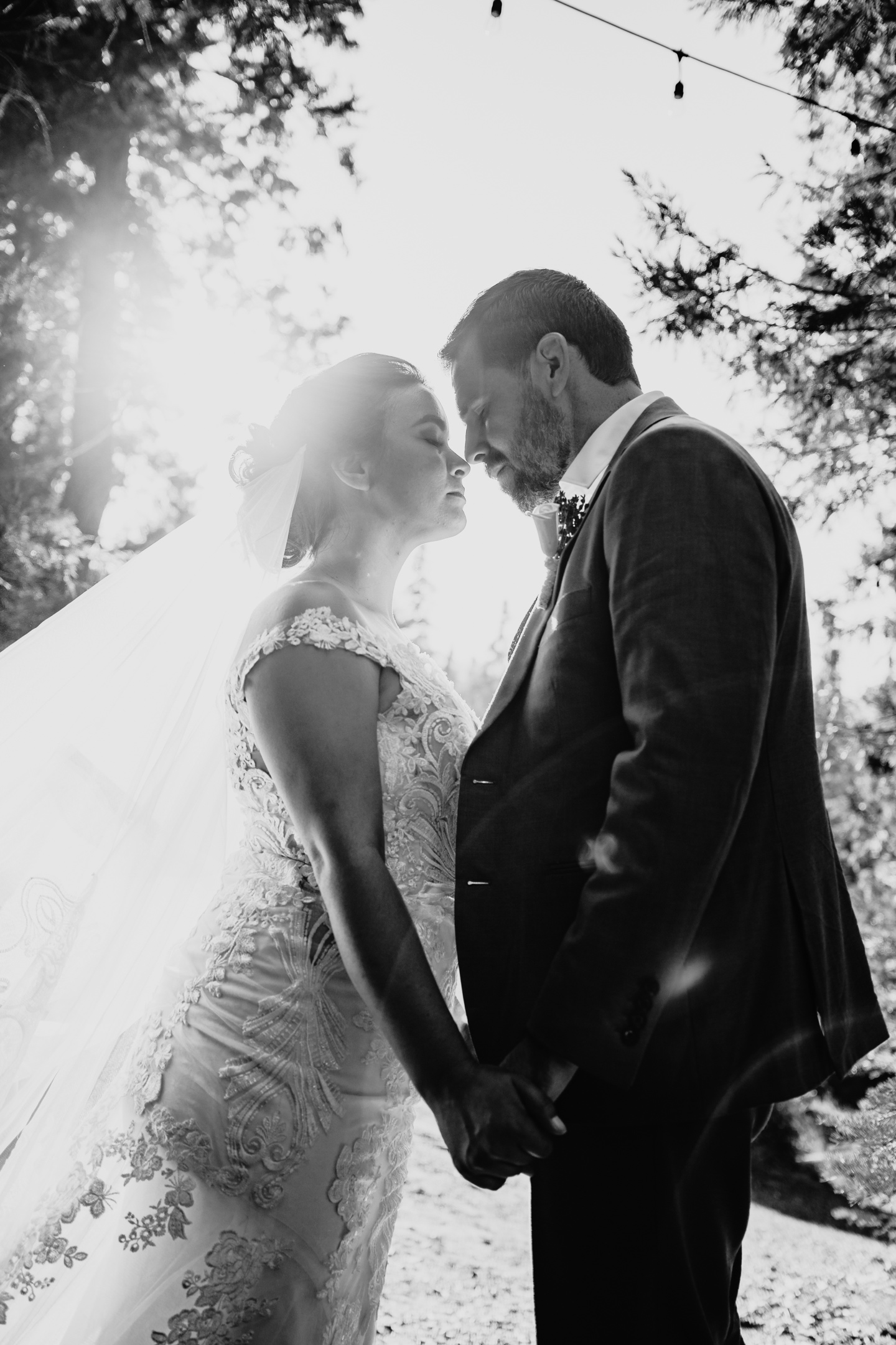Bride and groom lean in for a kiss captured by Yosemite wedding photographer Liz Koston