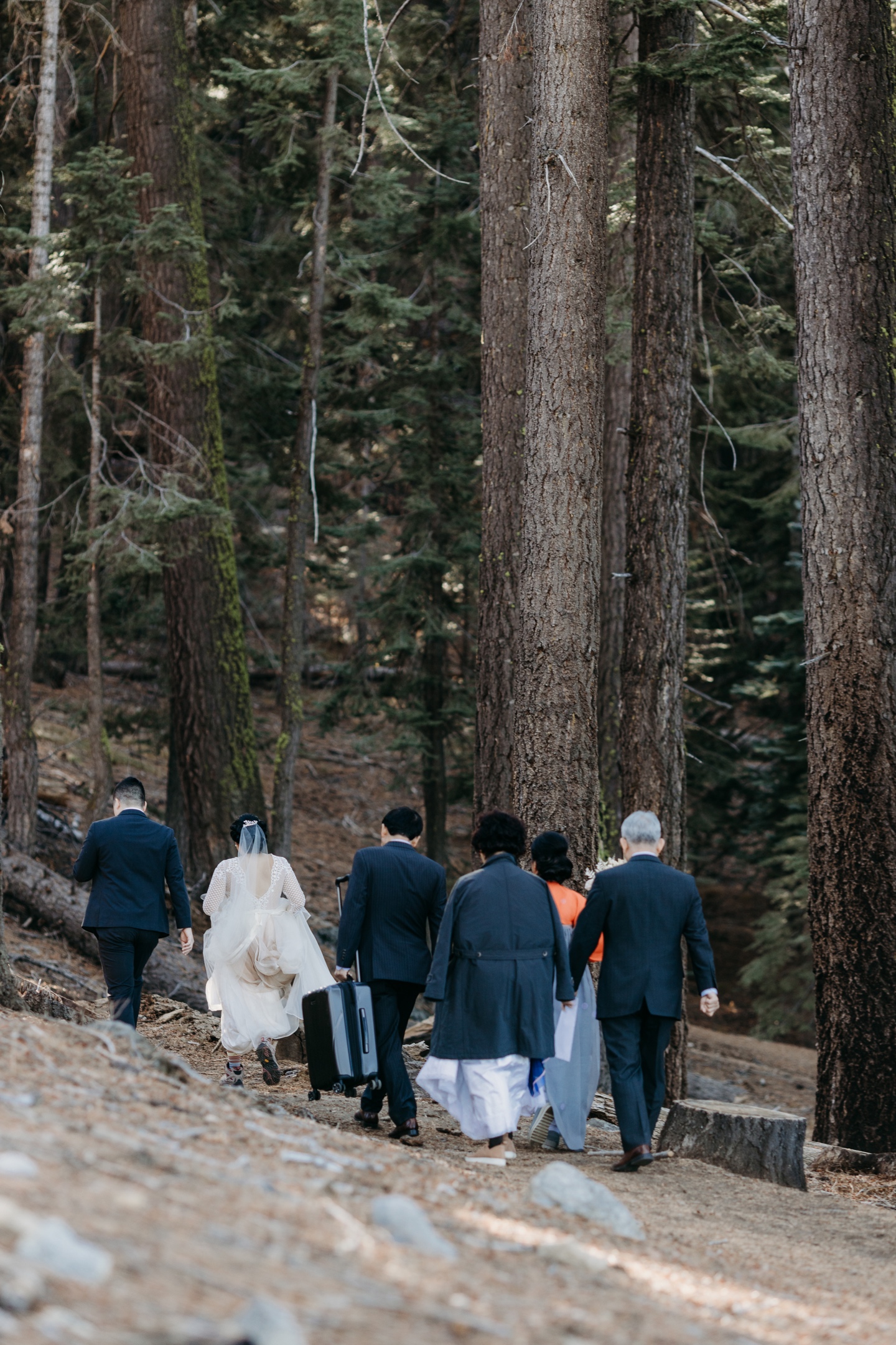 Wedding party hikes through Yosemite forest for the couple's elopement.
