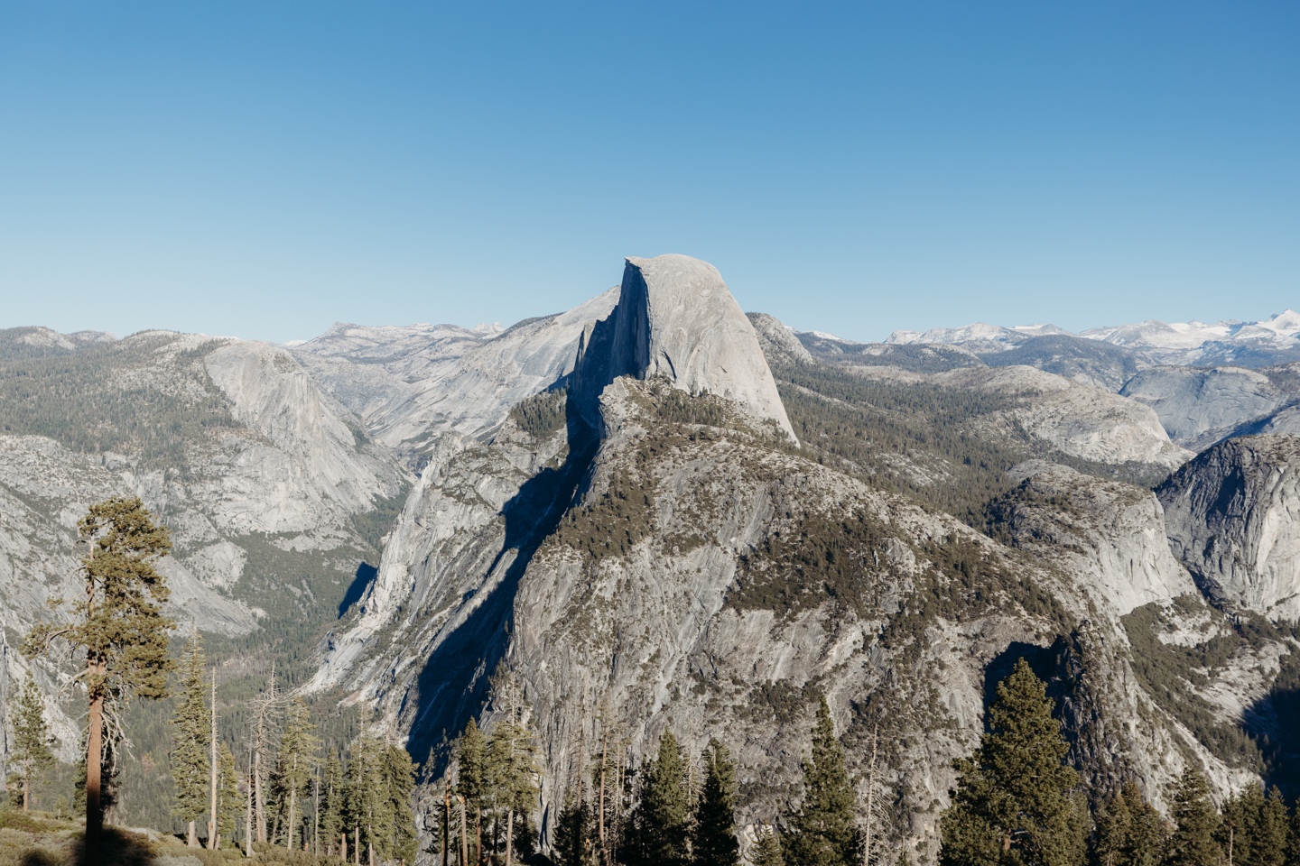 Half Dome in Yosemite National Park taken by Yosemite elopement photographer Liz Koston