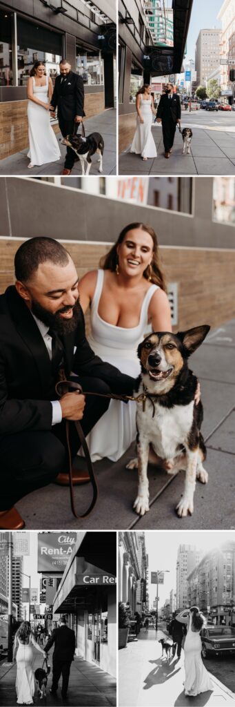 Bride and groom walk down the street in San Francisco with their dog after their San Francisco elopement. Photo by Liz Koston Photography.