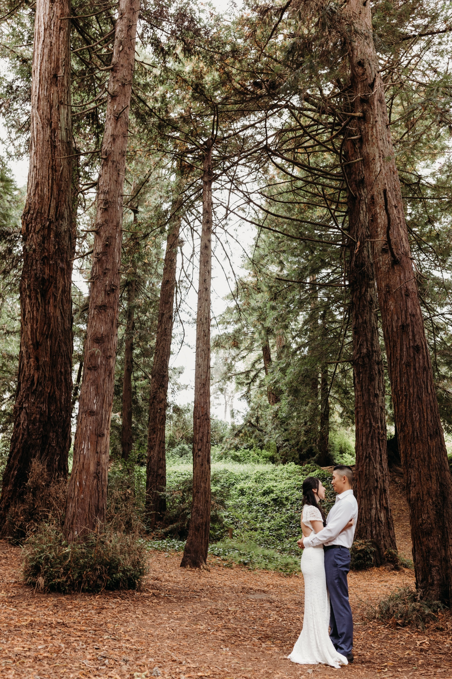 Bride and groom stand in an embrace under the tall Redwood trees in Golden Gate Park.