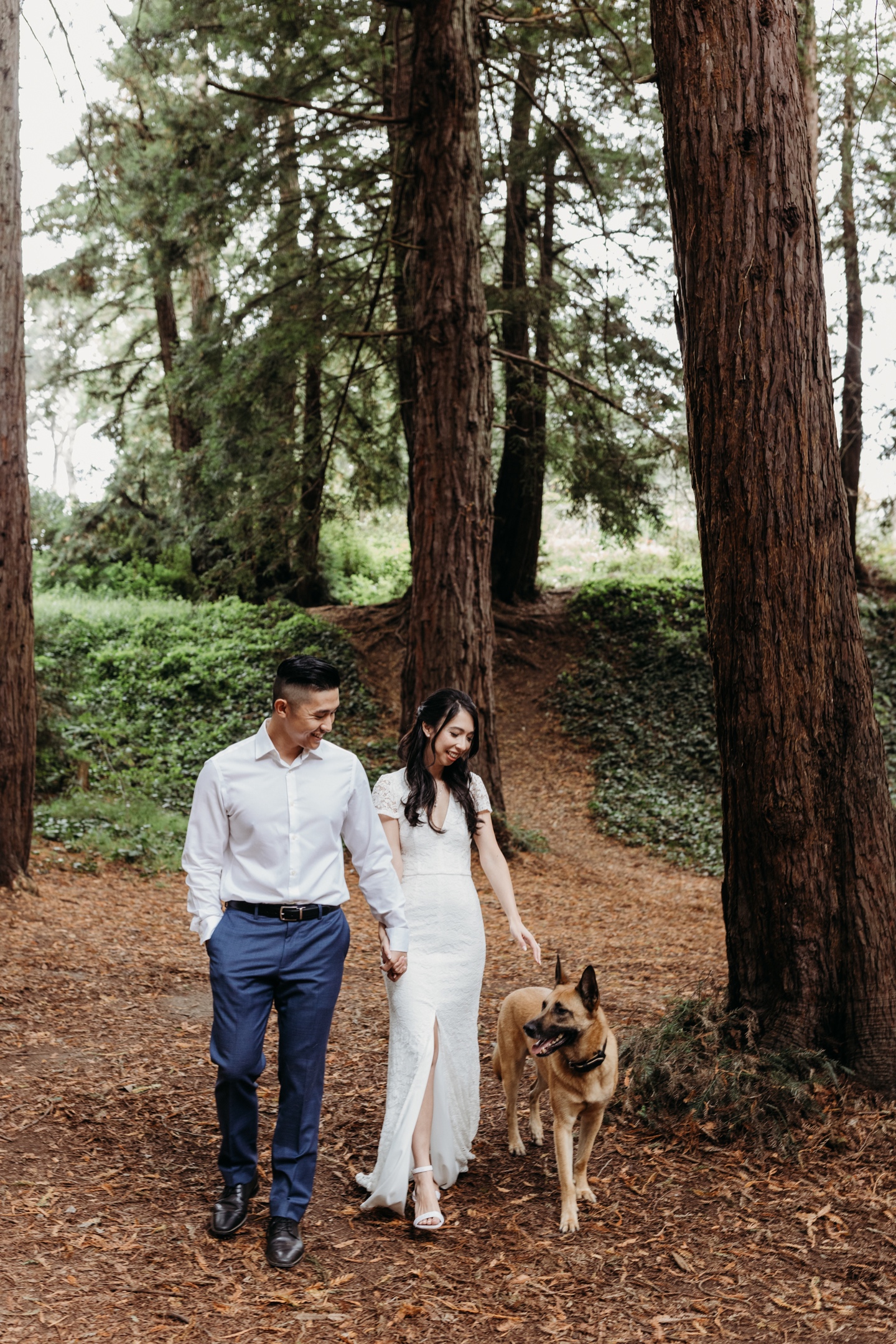 Bride and groom walk down a forest path with their dog in Golden Gate Park, San Francisco. Liz Koston Photography.