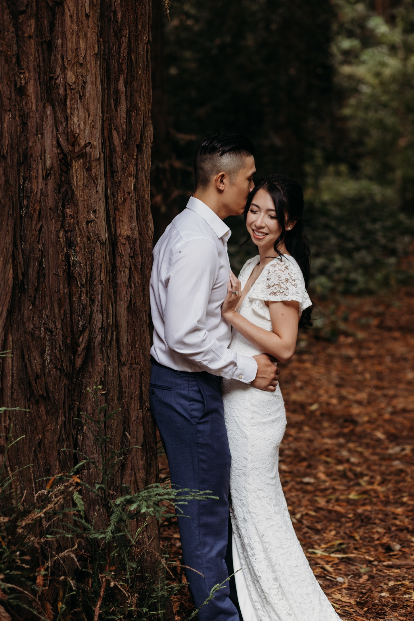 Groom leans against a Redwood tree as he kisses his bride's forehead. 