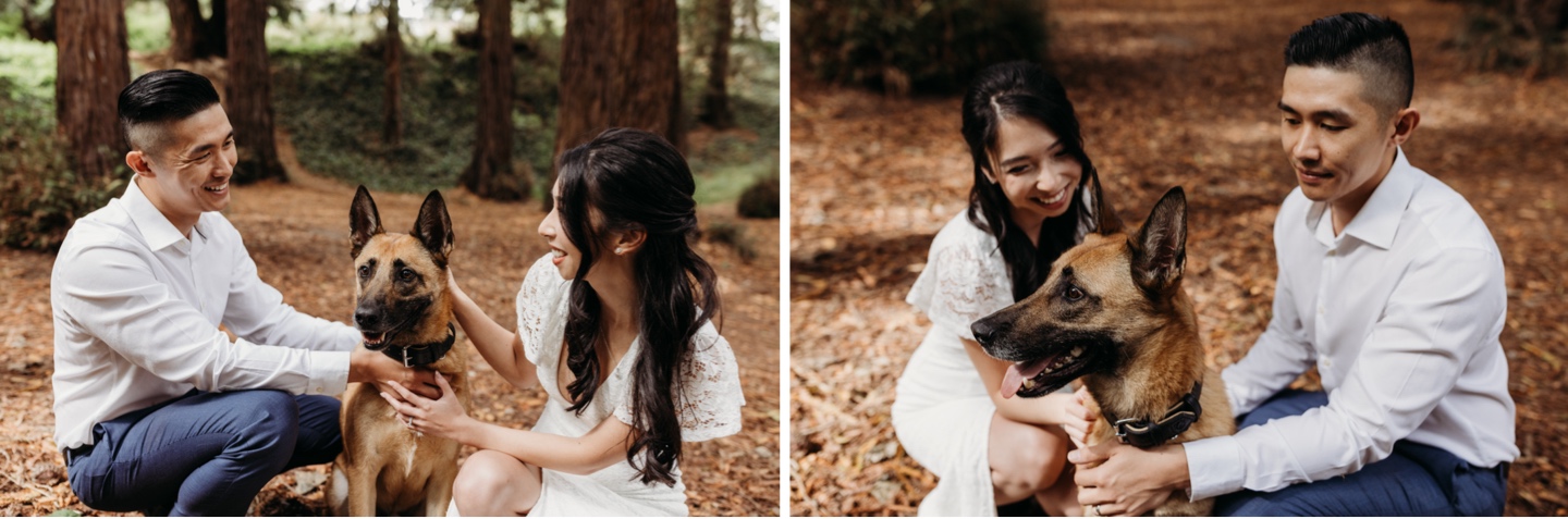 Bride and groom kneel down petting their dog in the Golden Gate Park redwoods after their San Francisco elopement.