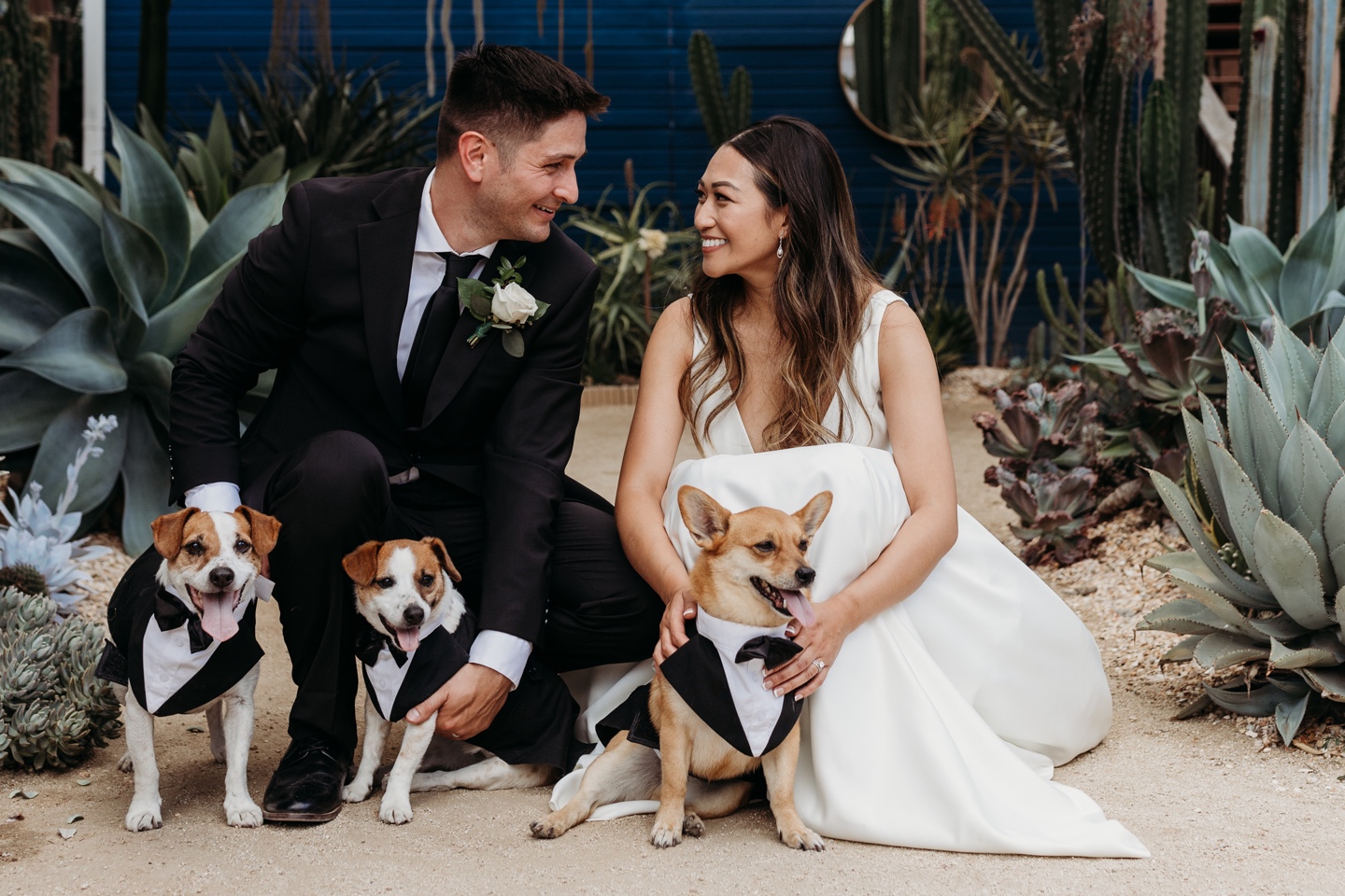 Bride and groom kneel while petting their three small dogs dressed in suits. Liz Koston Photography.