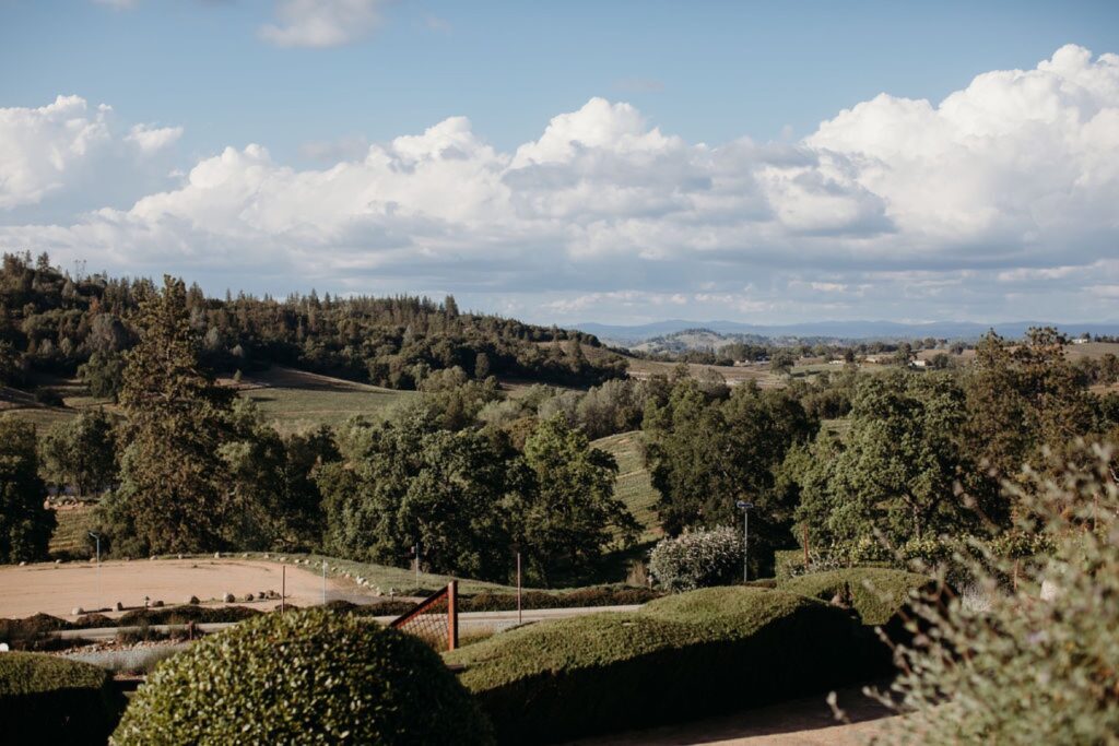 View of Helwig Winery vineyards. Liz Koston Photography.
